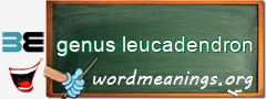 WordMeaning blackboard for genus leucadendron